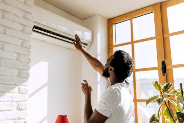 Best HVAC air duct cleaning  in North Lewisburg, OH
